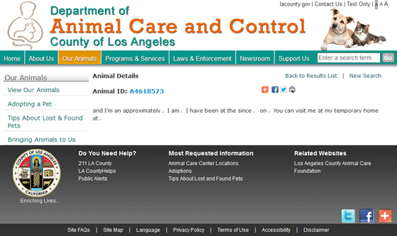 lacountywebsite