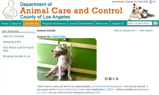 lacountywebsite2